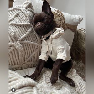 Over Glam pastel cream hoodie sweatshirt for dogs size 2 (xsmall)